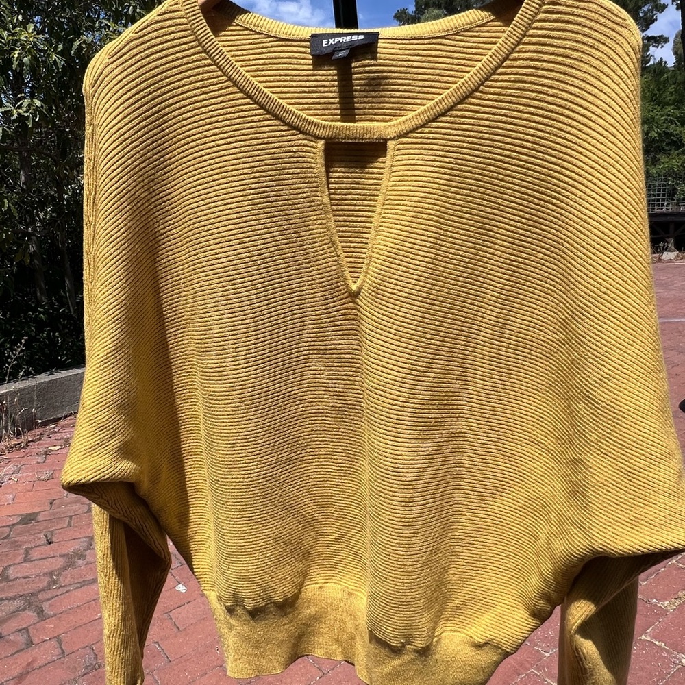Express Women's Mustard V-Neck Sweater
